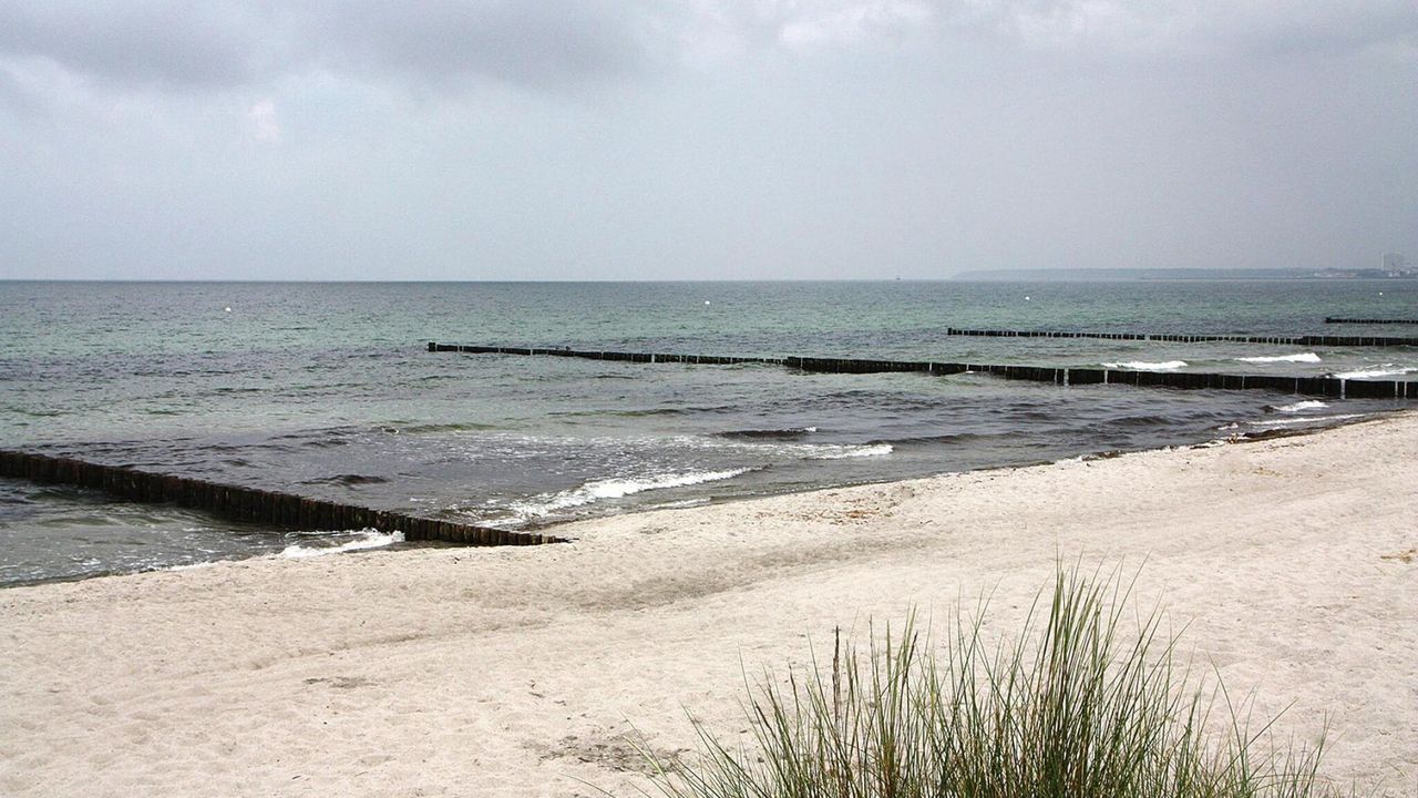 AreaSummer5KM AreaSummer5KM